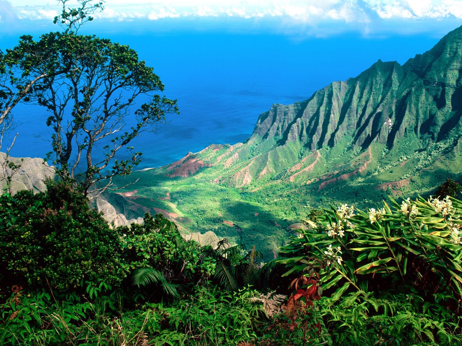 Hermoso paisaje de Hawai Wallpaper #19 - 1600x1200