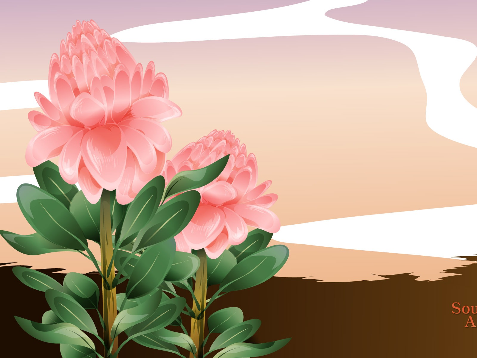 國家與鮮花 壁紙(二) #4 - 1600x1200