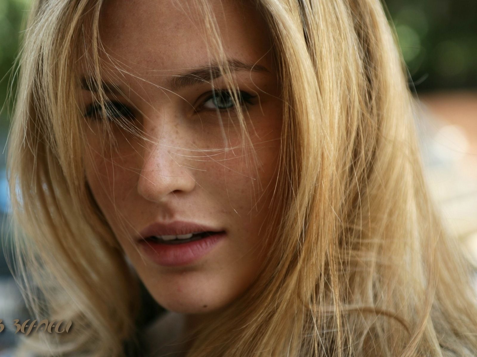 Bar Refaeli hermoso fondo de pantalla #3 - 1600x1200