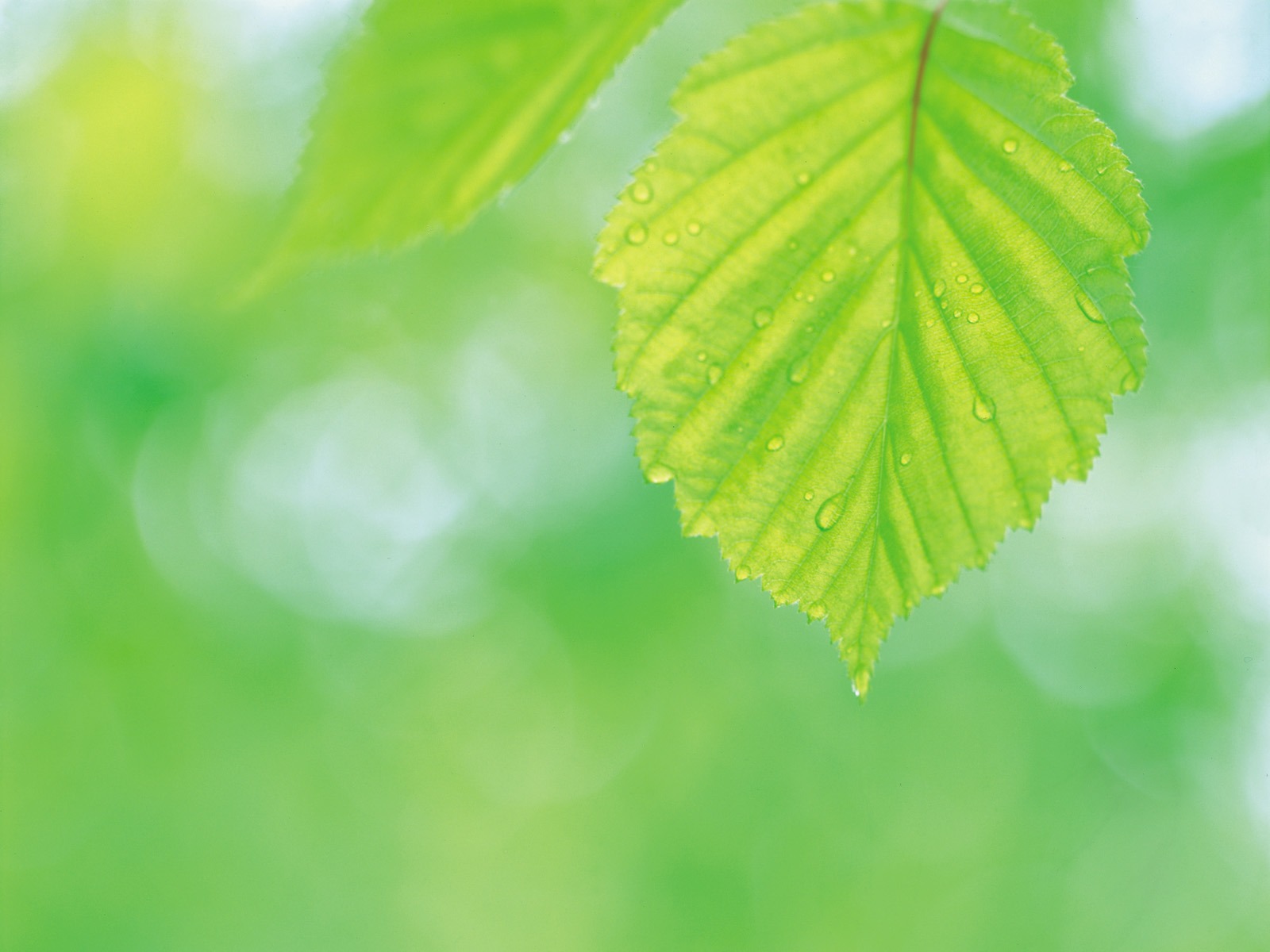 韓國自然風光 #42 - 1600x1200