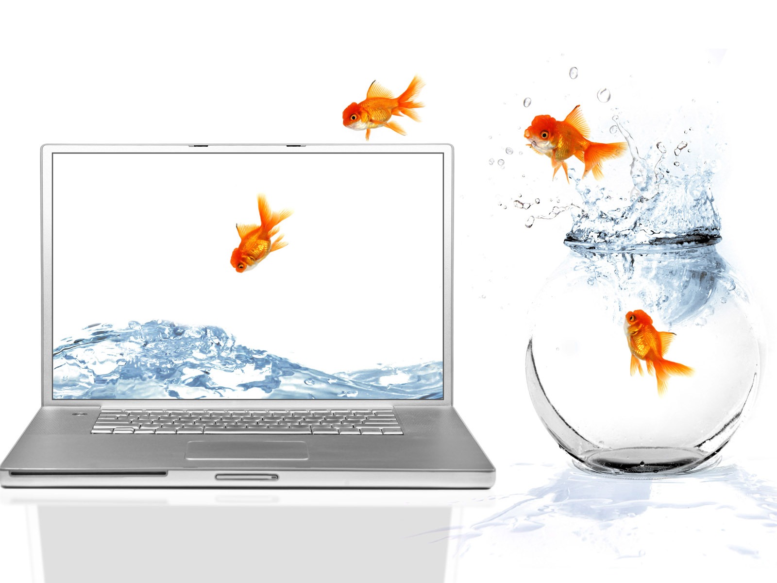 Jumping goldfish wallpaper #11 - 1600x1200