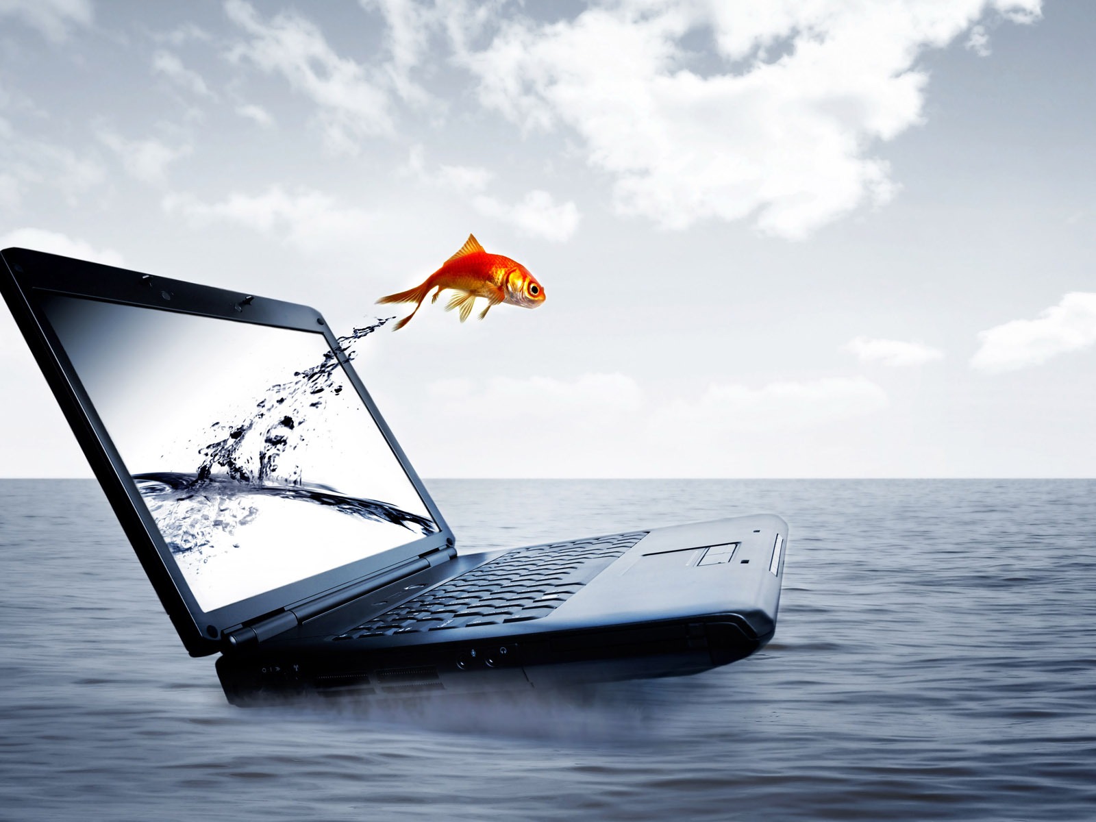 Jumping goldfish wallpaper #12 - 1600x1200