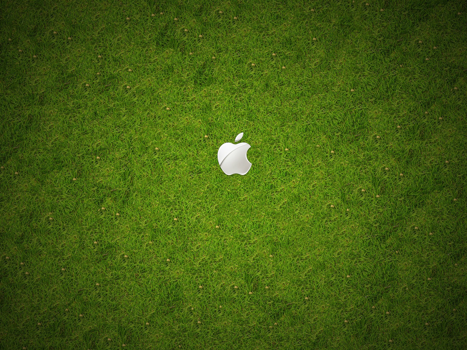 Apple Thema Tapete Album (3) #6 - 1600x1200