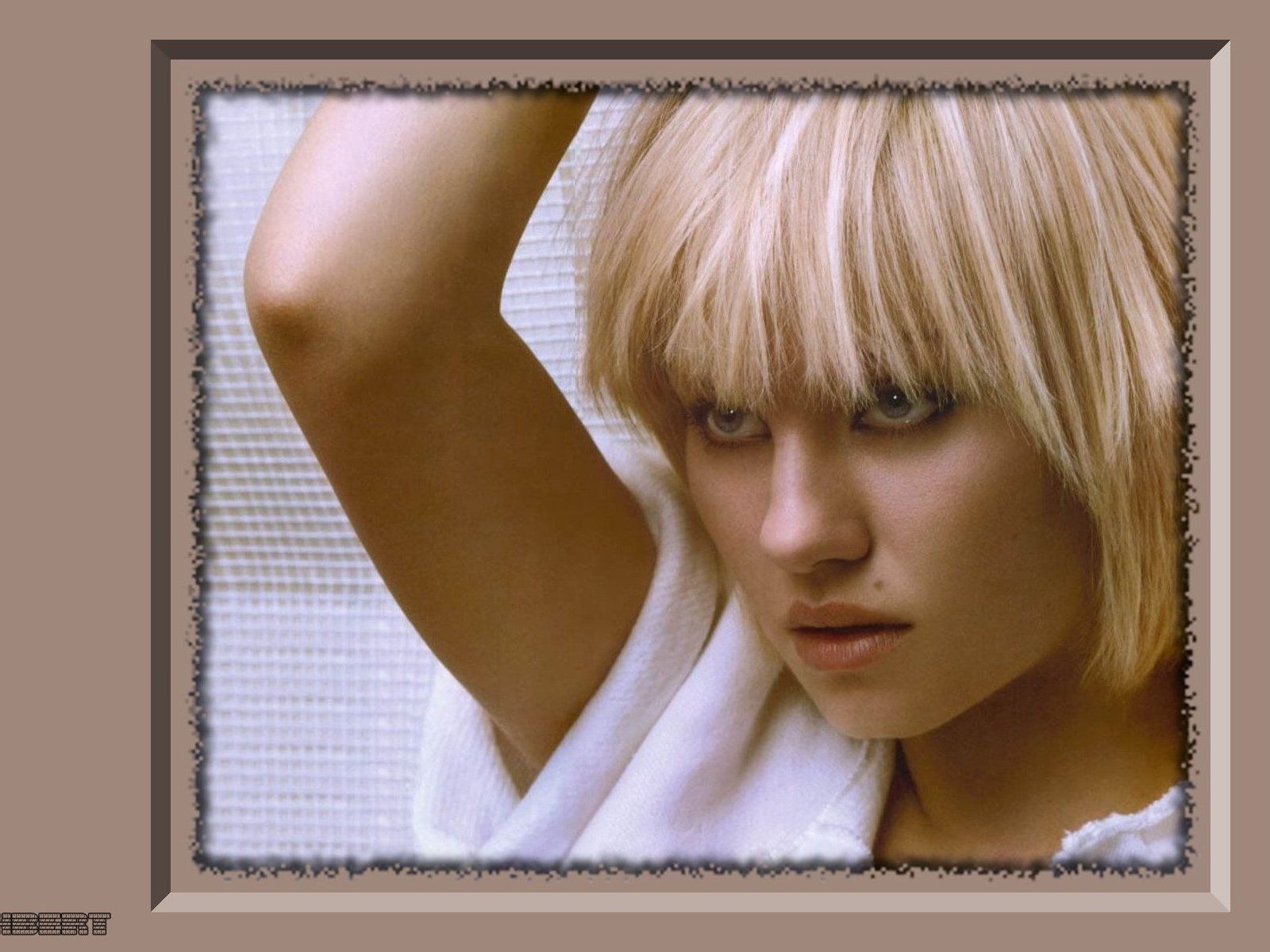 Elisha Cuthbert 伊麗莎·庫斯伯特美女壁紙 #6 - 1600x1200