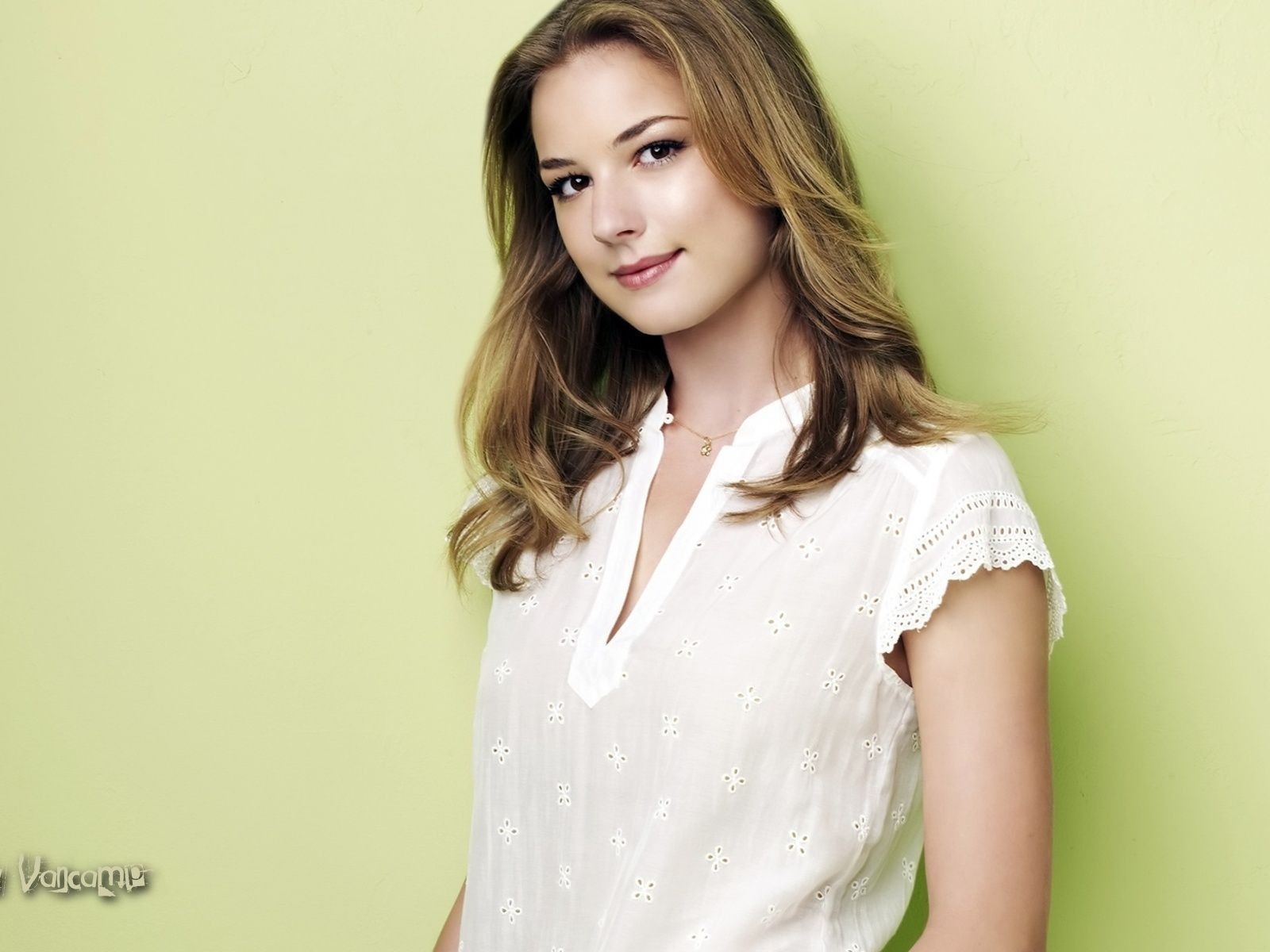 Emily VanCamp beautiful wallpaper #4 - 1600x1200