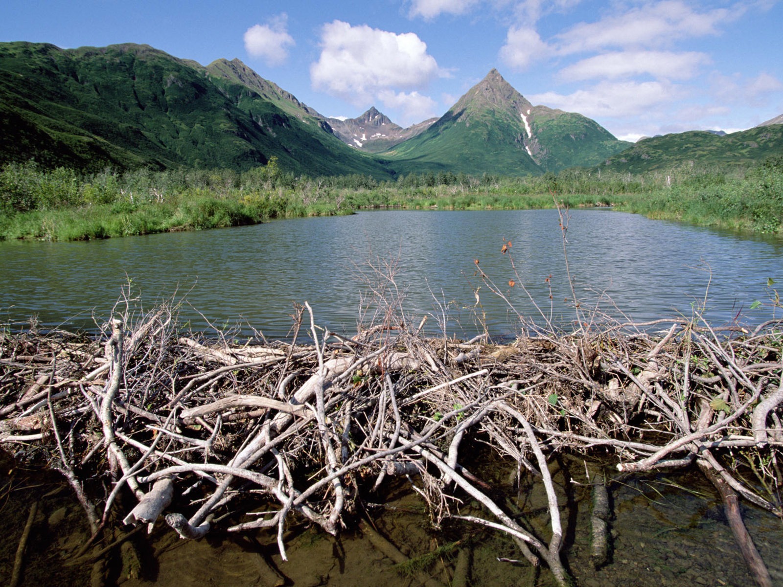 Fond d'écran paysage de l'Alaska (2) #9 - 1600x1200