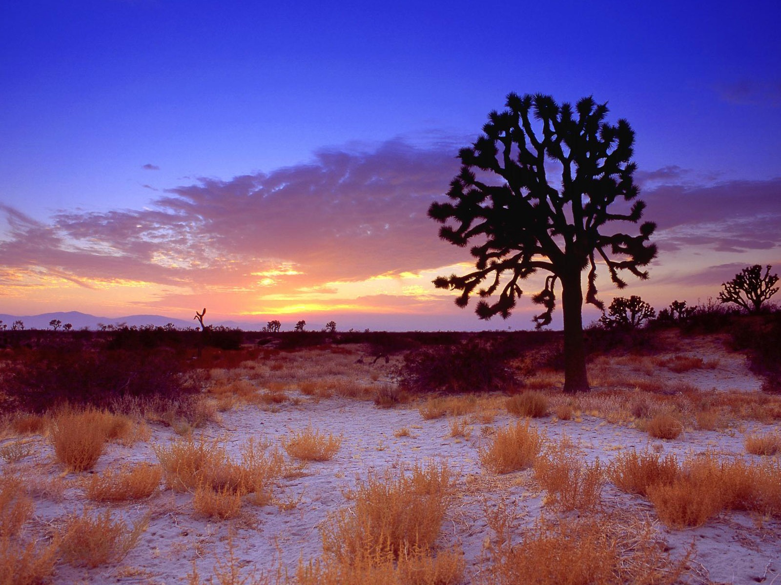 California Scenery Wallpapers (1) #14 - 1600x1200