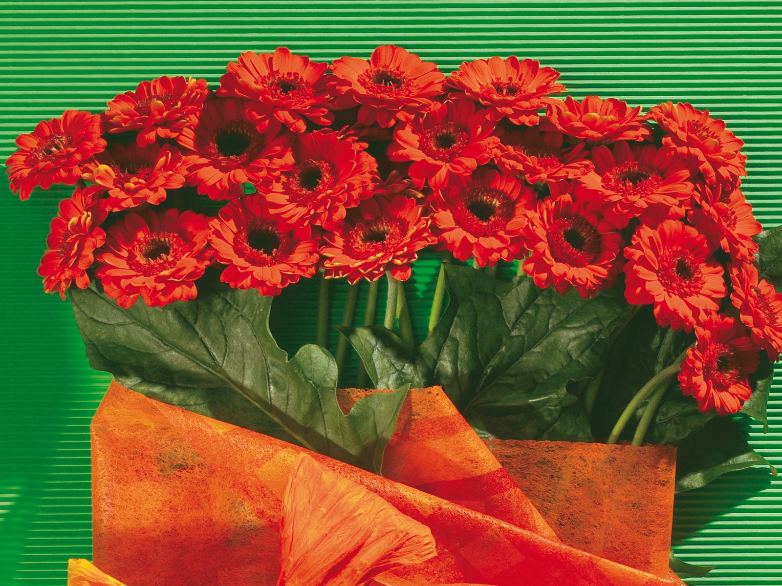 fleurs fond d'écran Widescreen close-up (5) #5 - 1600x1200