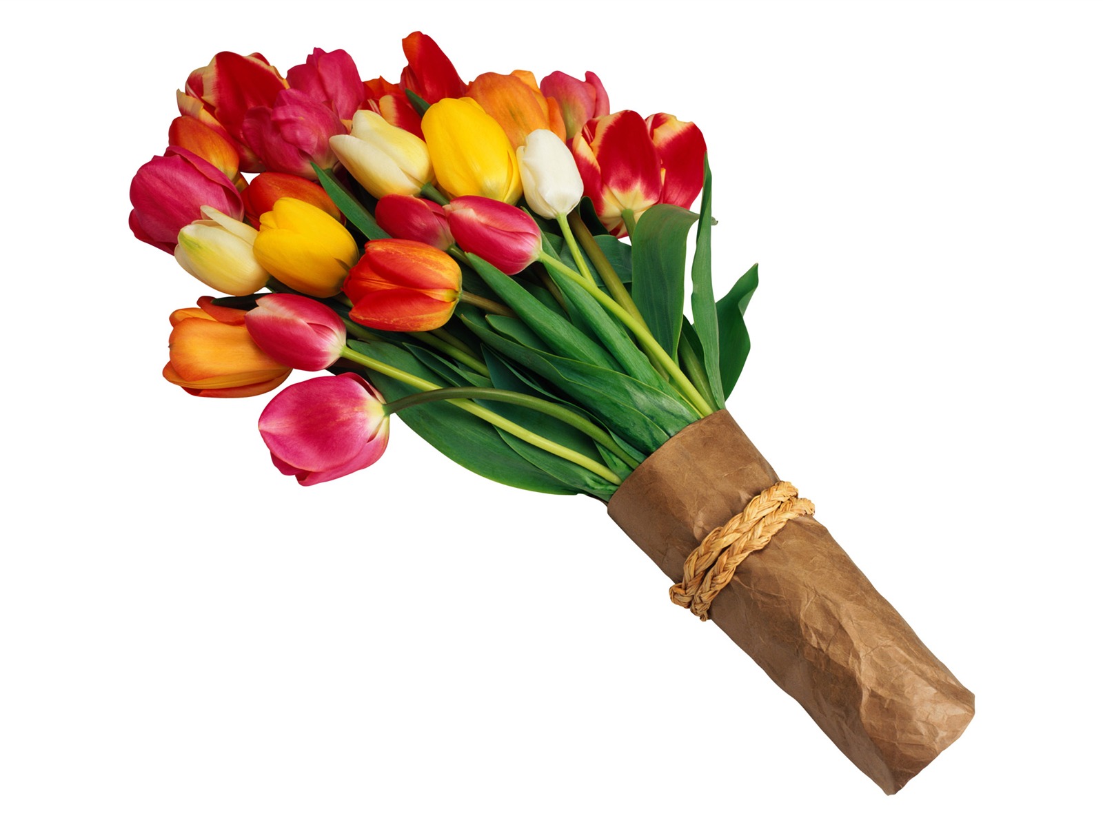 Velký tulipán tapetu (3) #9 - 1600x1200