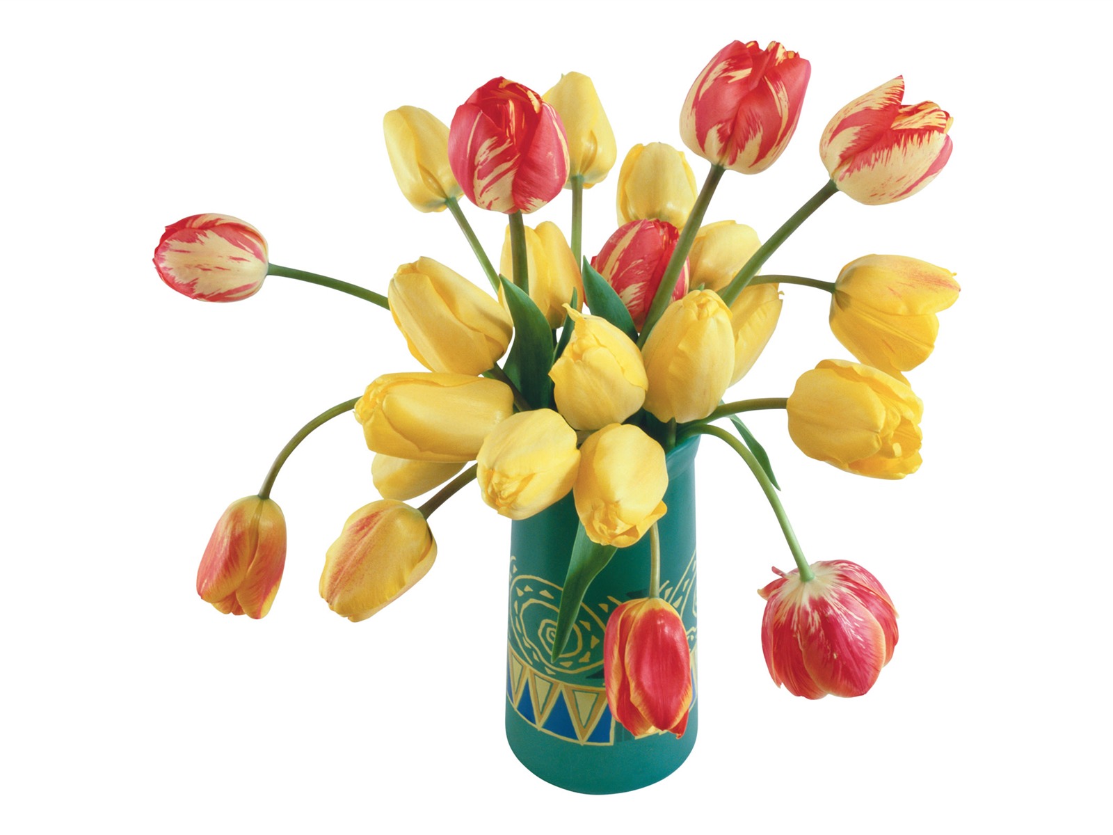 Velký tulipán tapetu (3) #16 - 1600x1200