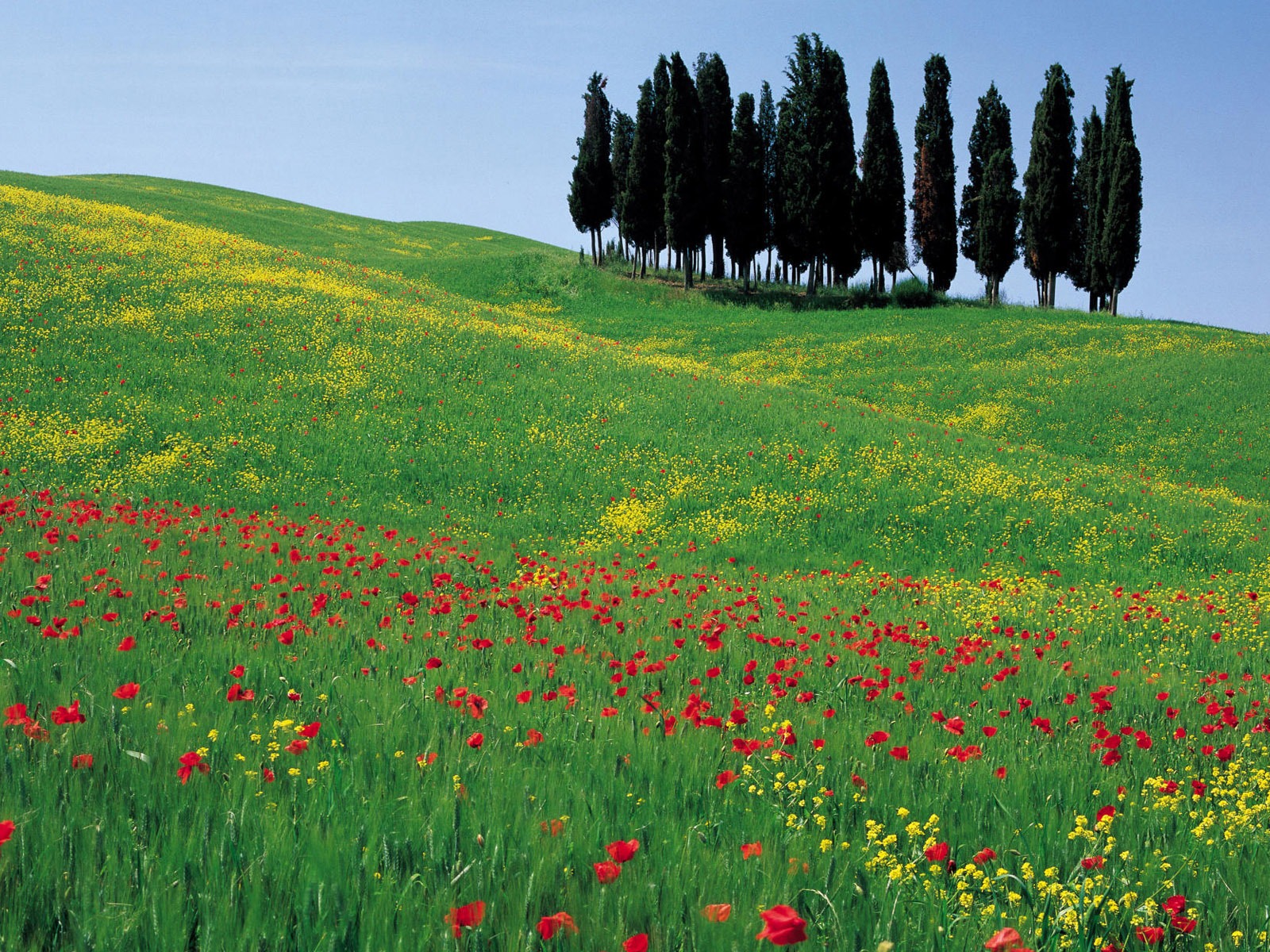 Italian Landscape wallpaper (1) #19 - 1600x1200