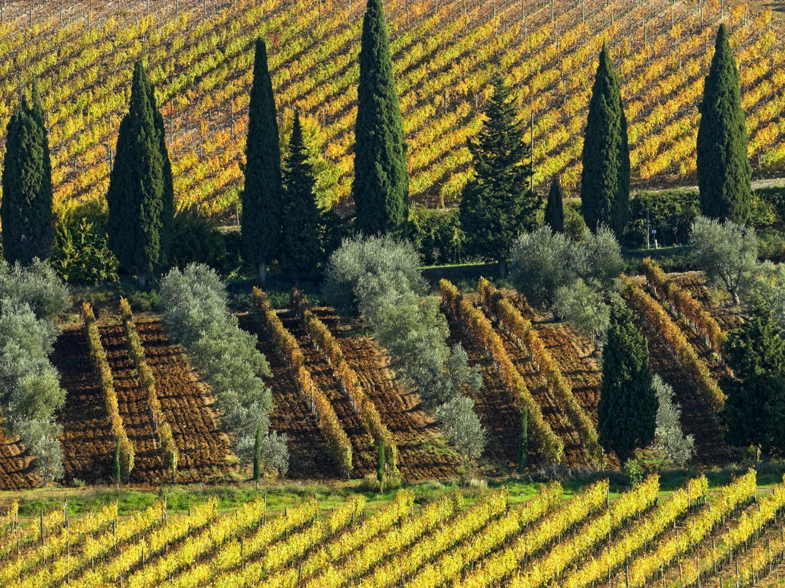 Italian Landscape wallpaper (2) #17 - 1600x1200