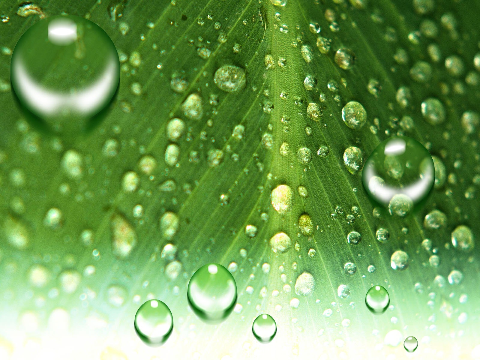 Colorful Water drops HD wallpaper #7 - 1600x1200