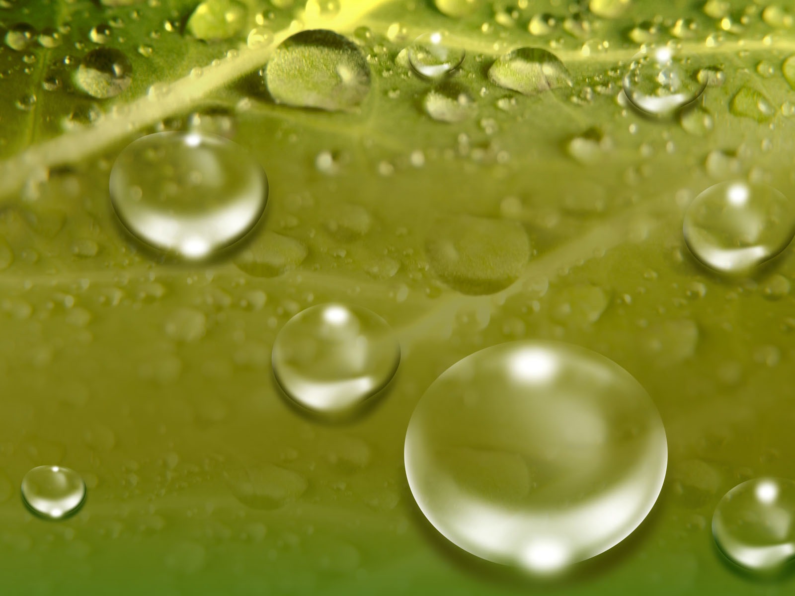 Colorful Water drops HD wallpaper #13 - 1600x1200