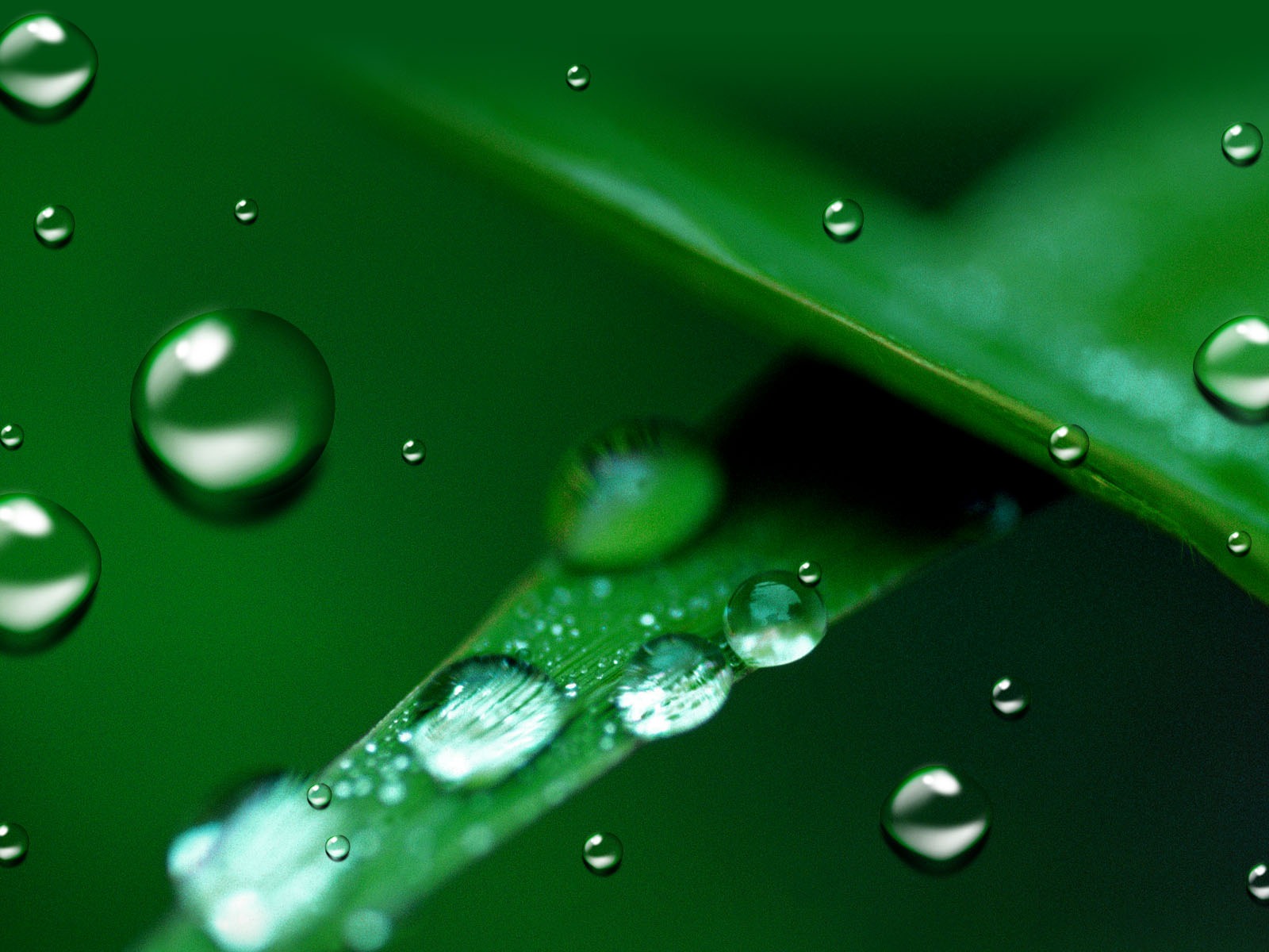 Colorful Water drops HD wallpaper #17 - 1600x1200