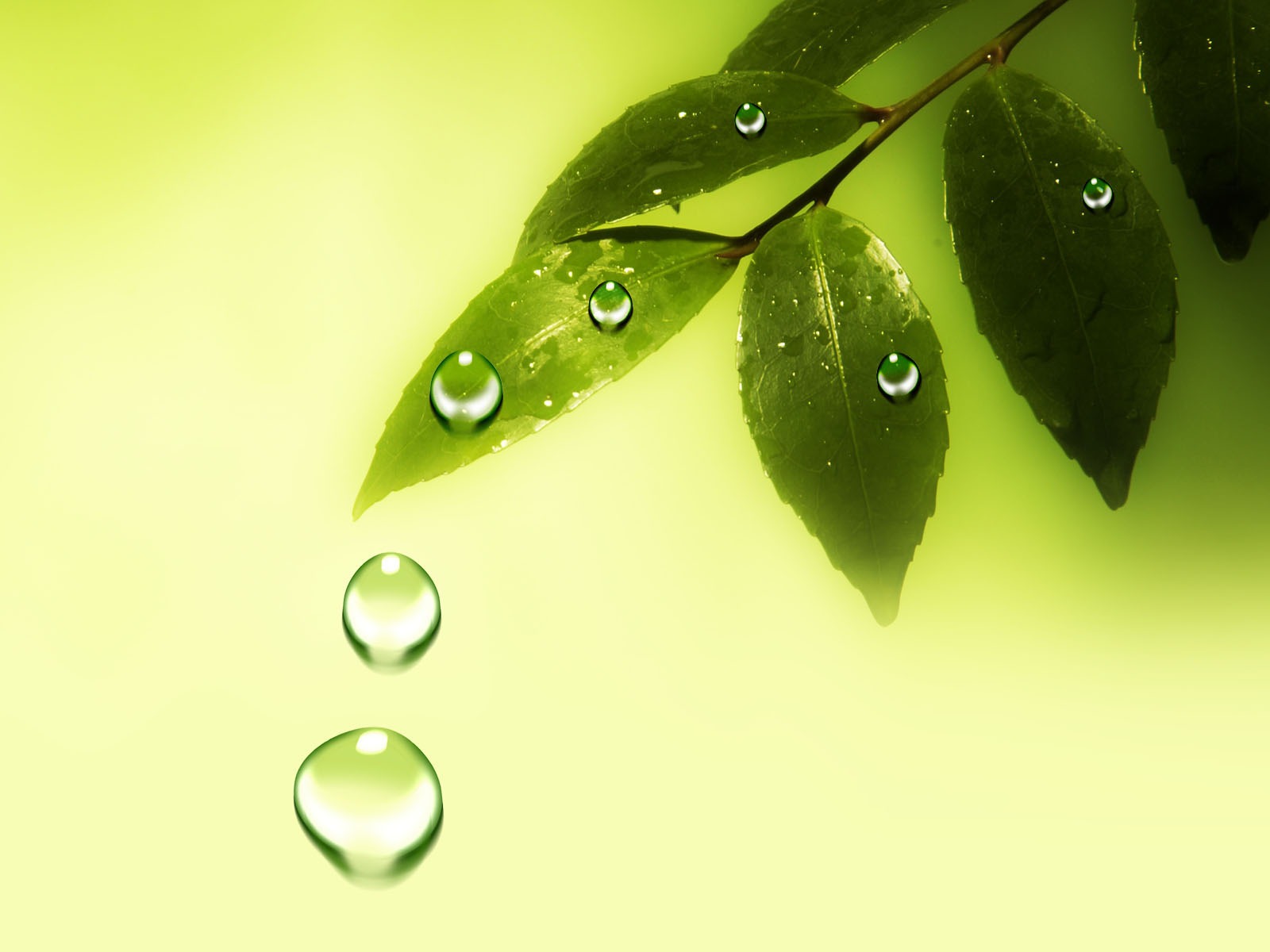 Colorful Water drops HD wallpaper #20 - 1600x1200