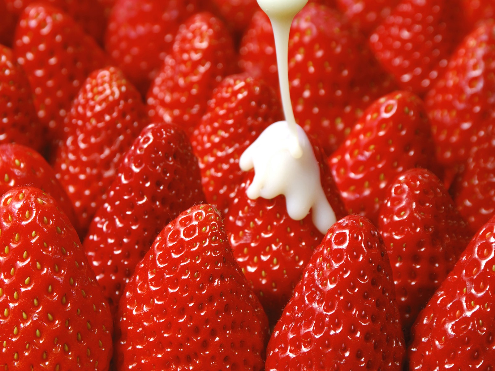 HD wallpaper fresh strawberries #16 - 1600x1200