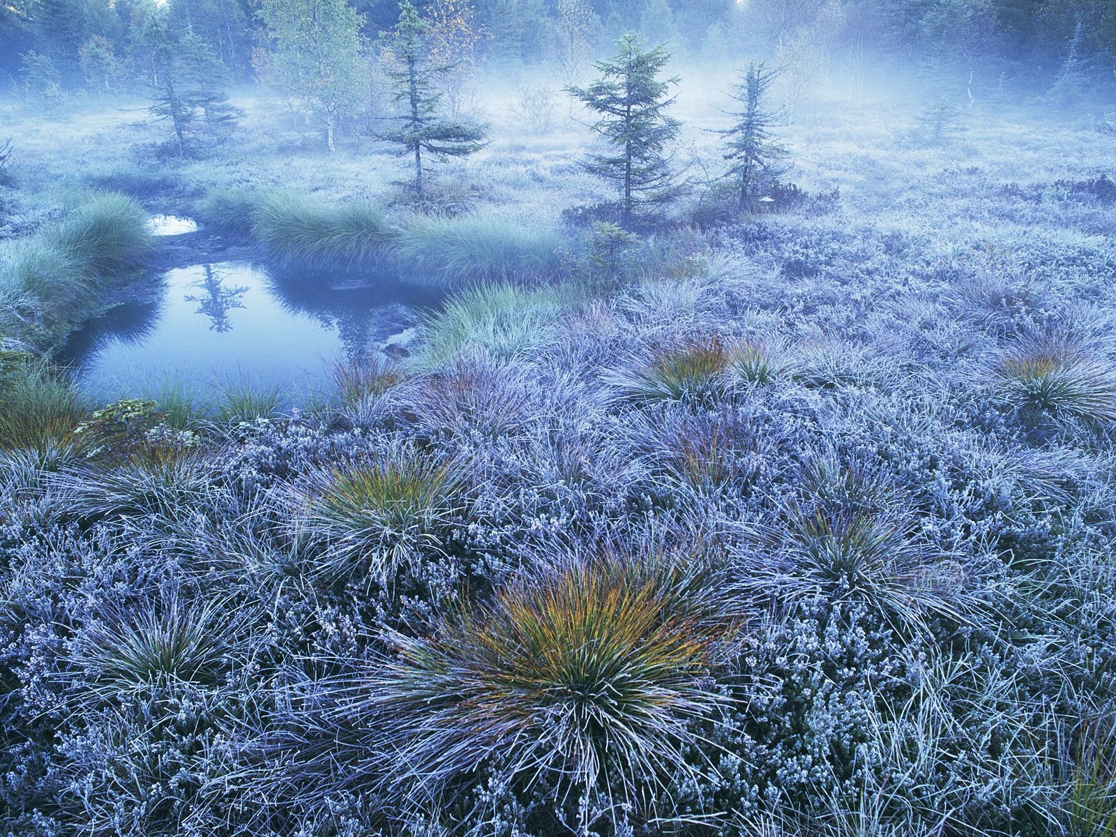 Webshots風光壁紙(13) #12 - 1600x1200