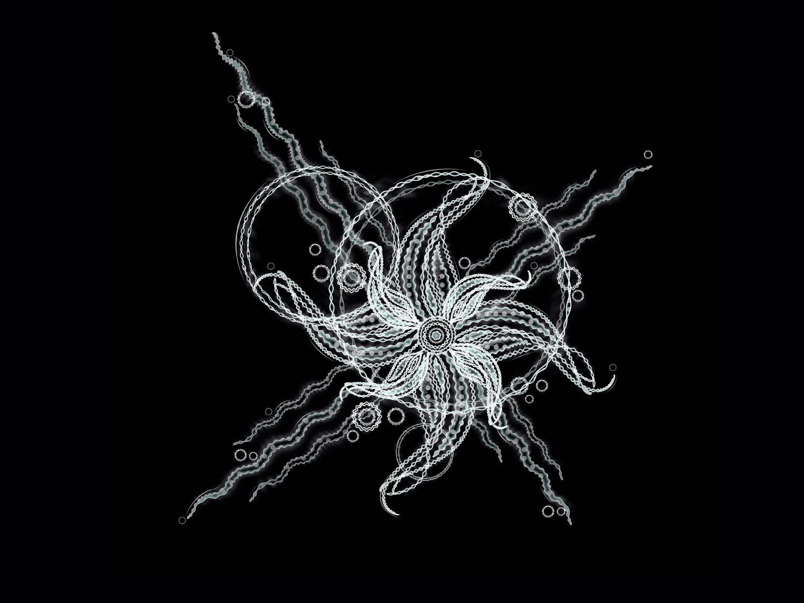 炫彩花紋 壁紙(六) #3 - 1600x1200