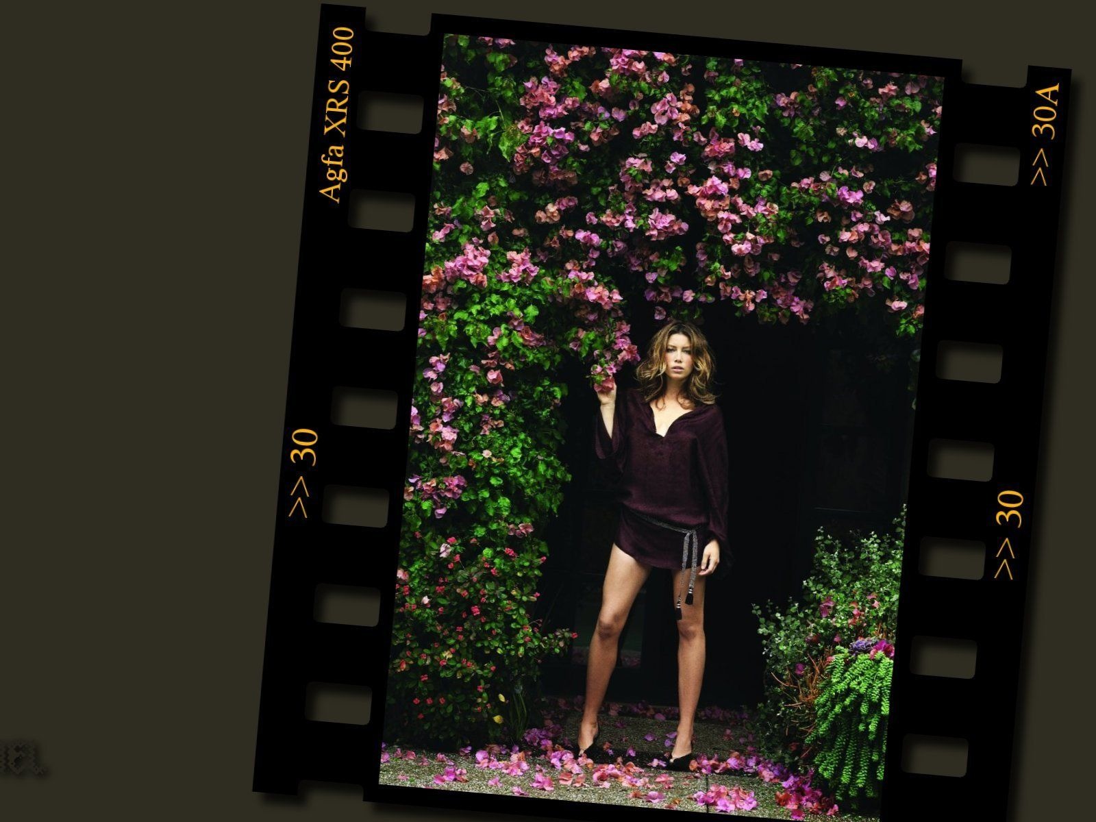 Jessica Biel hermoso fondo de pantalla #24 - 1600x1200