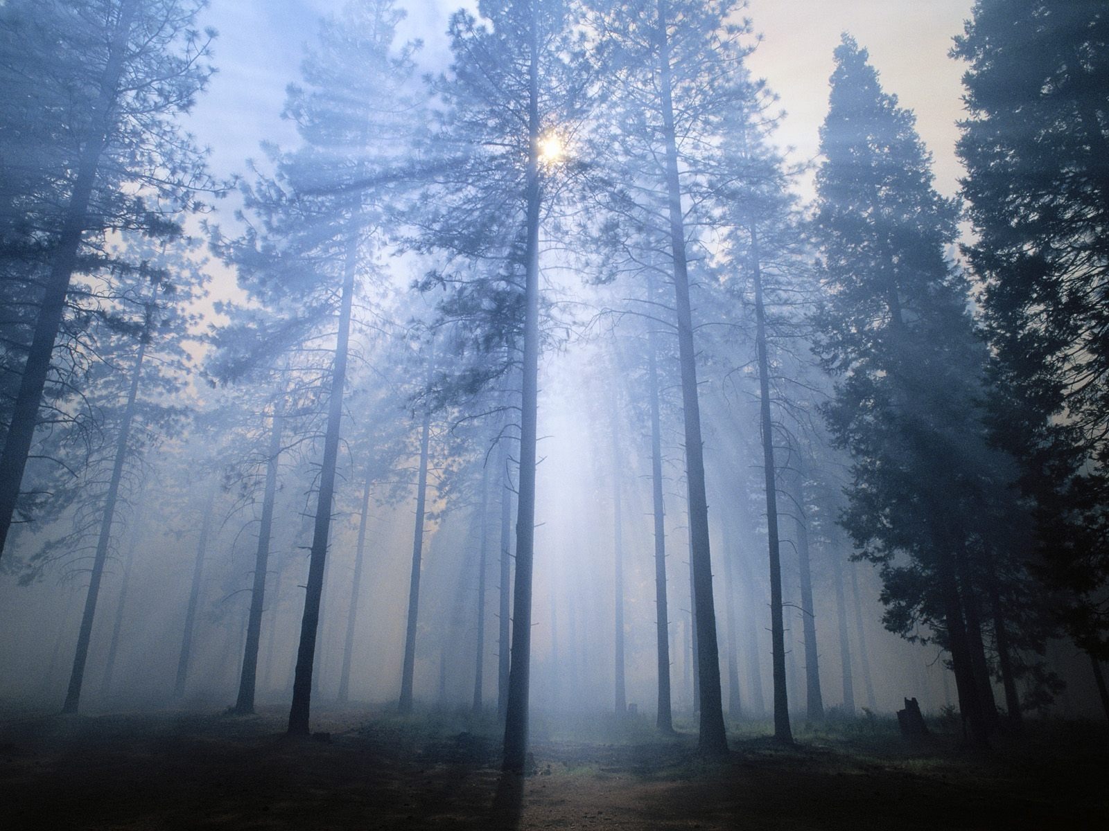 Webshotsの風景壁紙(16) #10 - 1600x1200