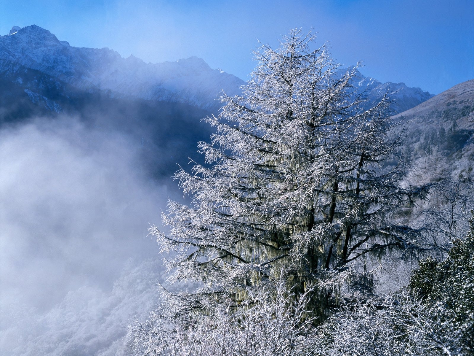 冬天雪景壁紙 #3 - 1600x1200