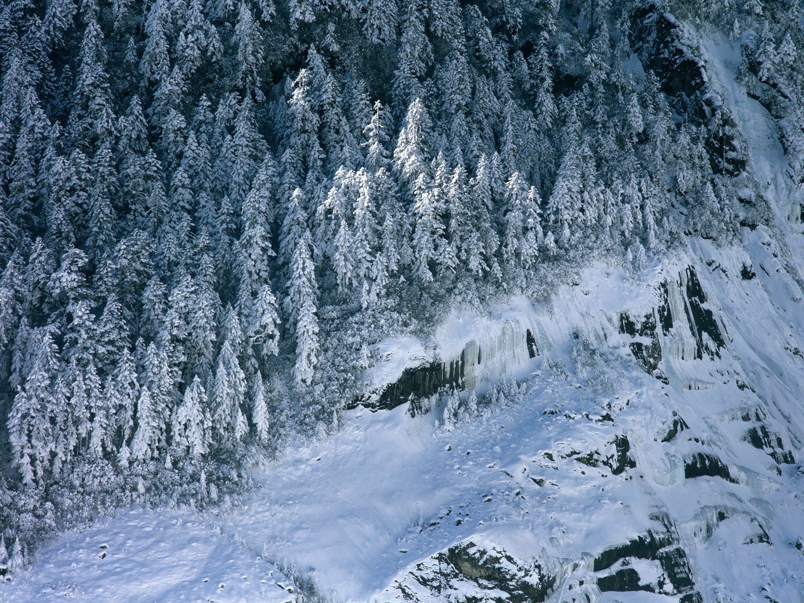 冬天雪景壁紙 #5 - 1600x1200