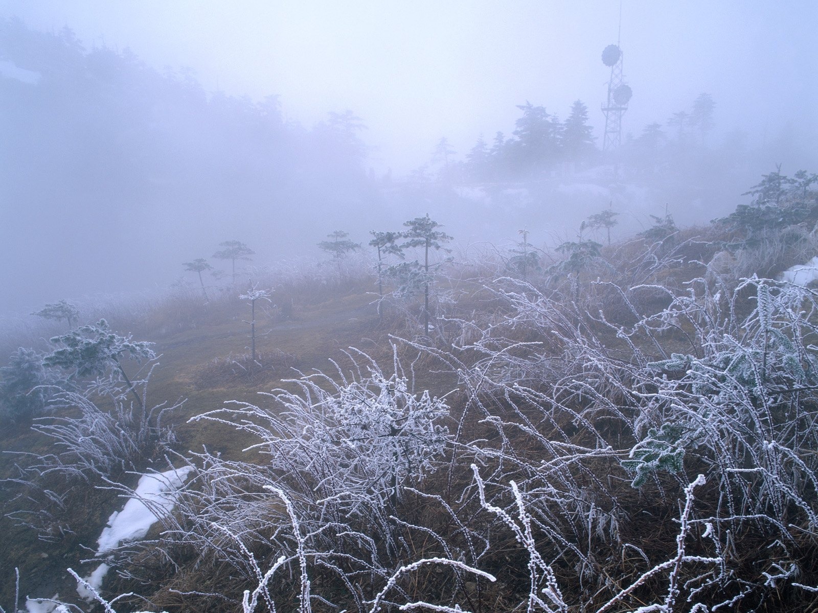 冬天雪景壁紙 #7 - 1600x1200