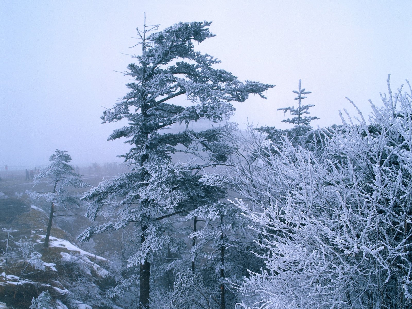 冬天雪景壁紙 #15 - 1600x1200