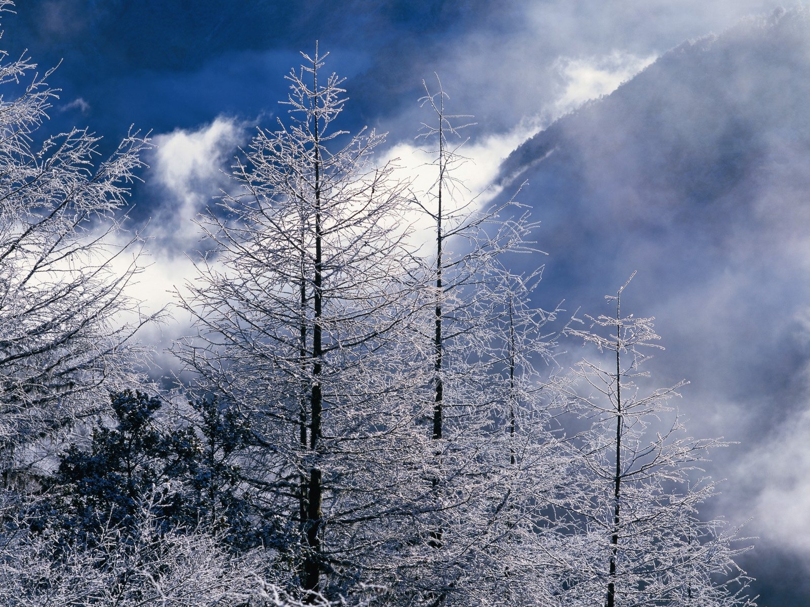 冬天雪景壁紙 #23 - 1600x1200