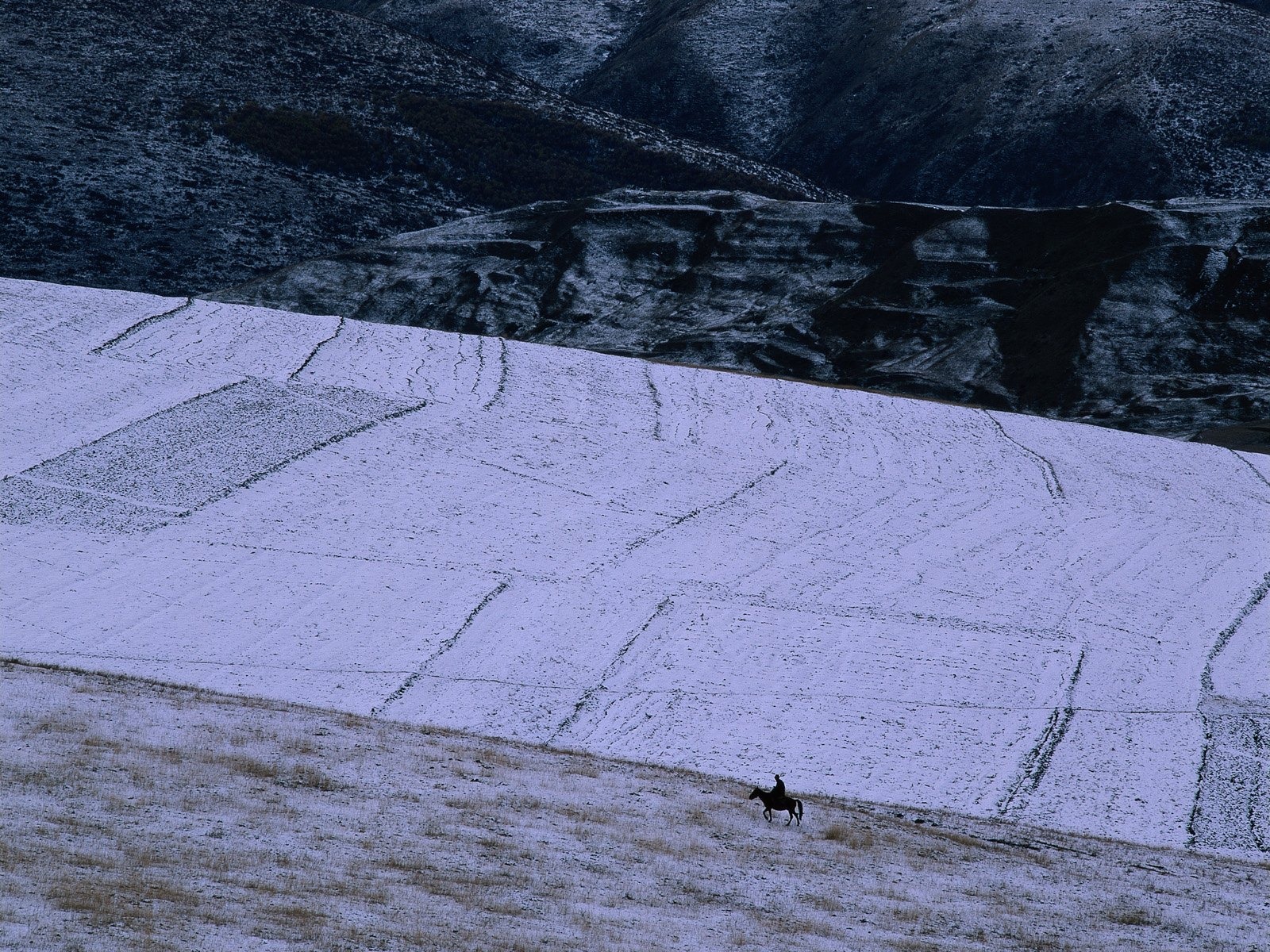 Winter Snow Wallpaper #32 - 1600x1200