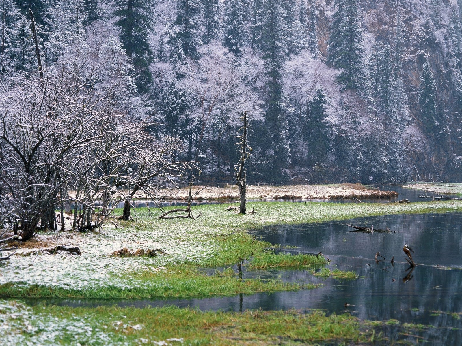 Winter Snow Wallpaper #36 - 1600x1200