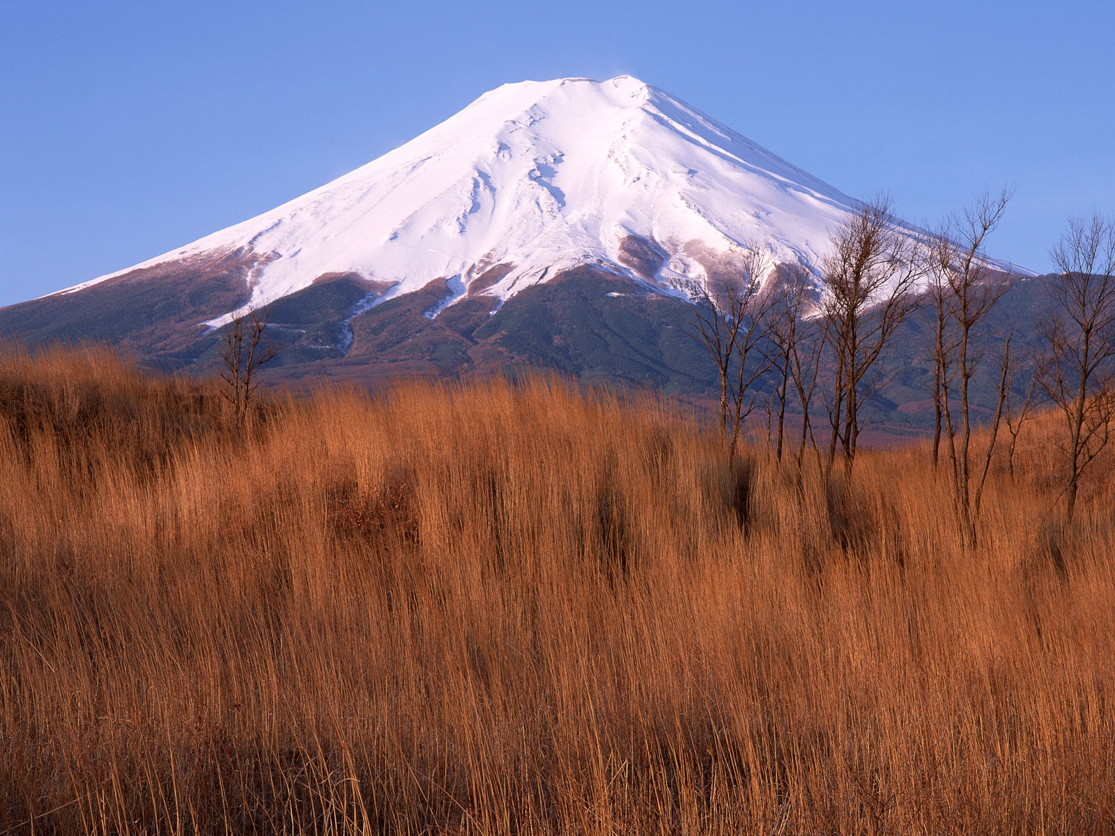 日本富士山 壁紙(一) #8 - 1600x1200