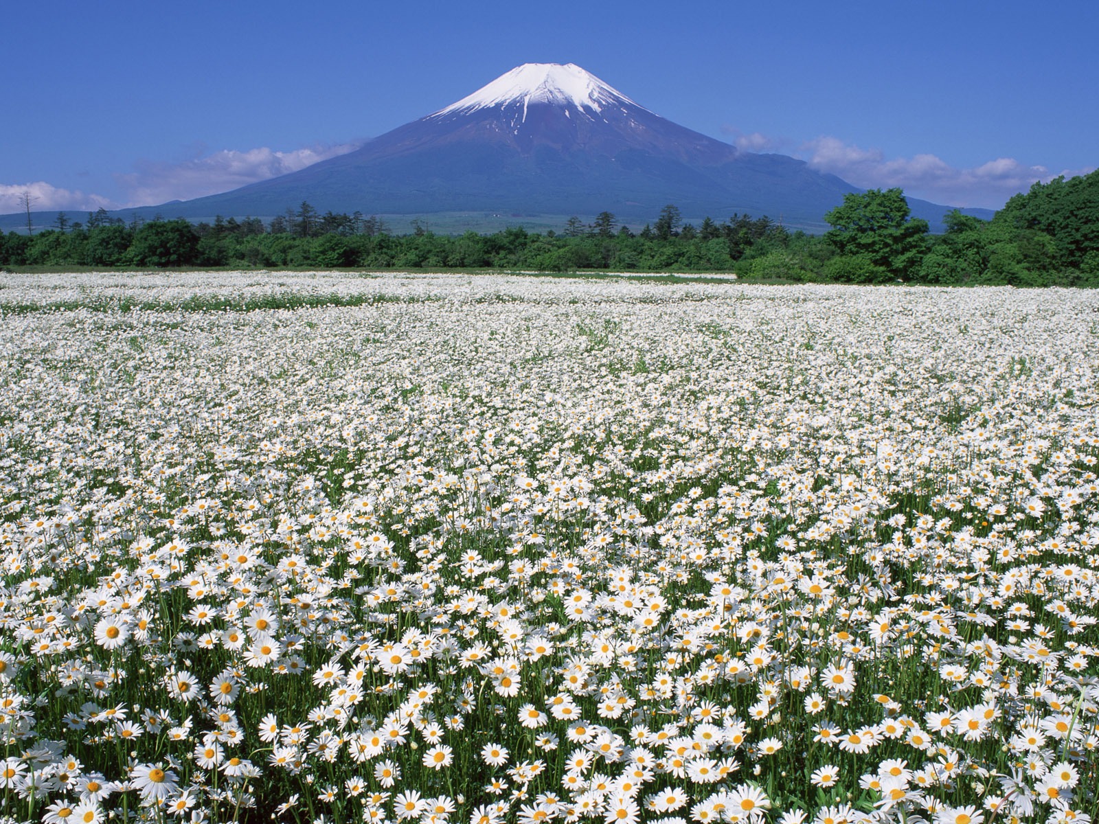 Mont Fuji, papier peint Japon (2) #15 - 1600x1200
