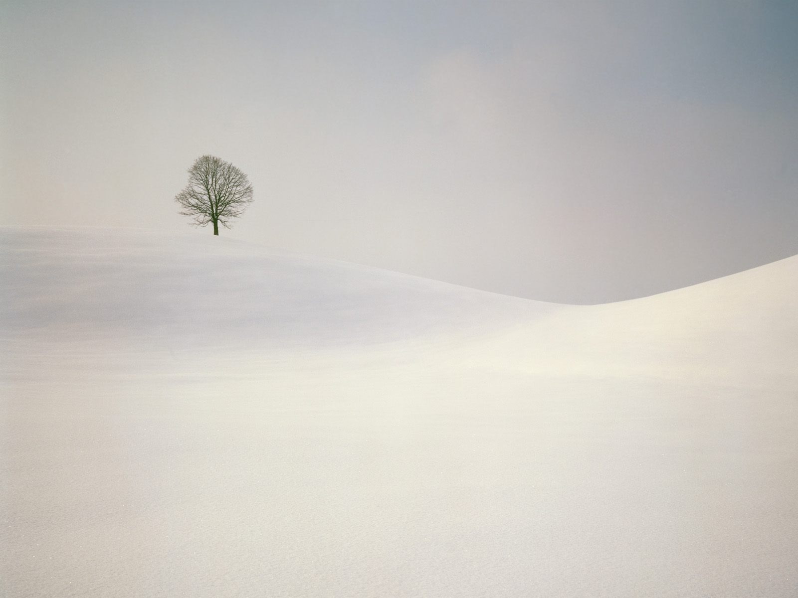 冬天雪景壁紙(二) #17 - 1600x1200