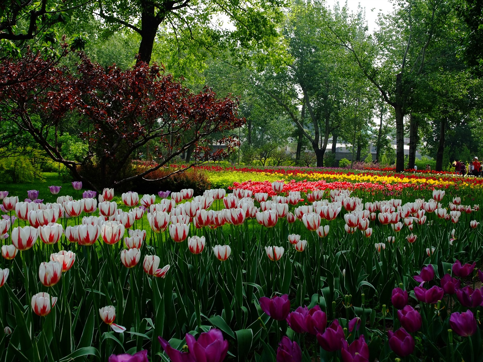 Xiangshan early summer garden (rebar works) #6 - 1600x1200