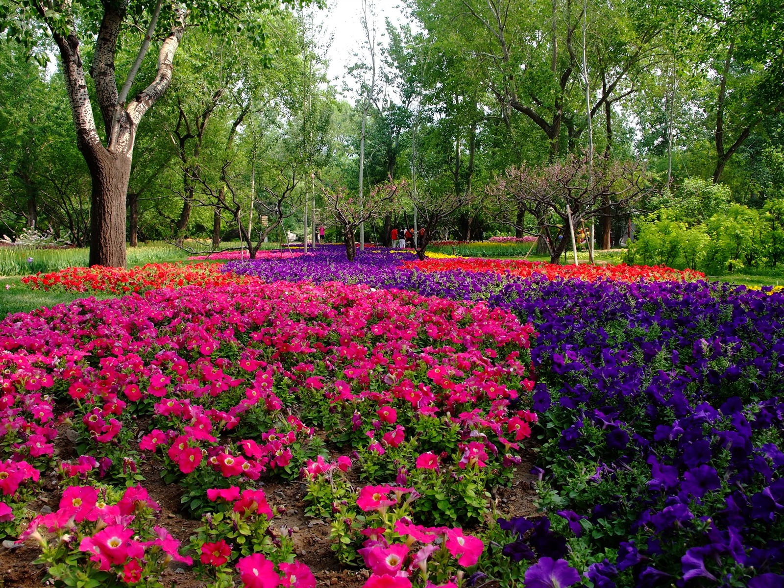 Xiangshan Frühsommer Garten (Bewehren) #10 - 1600x1200