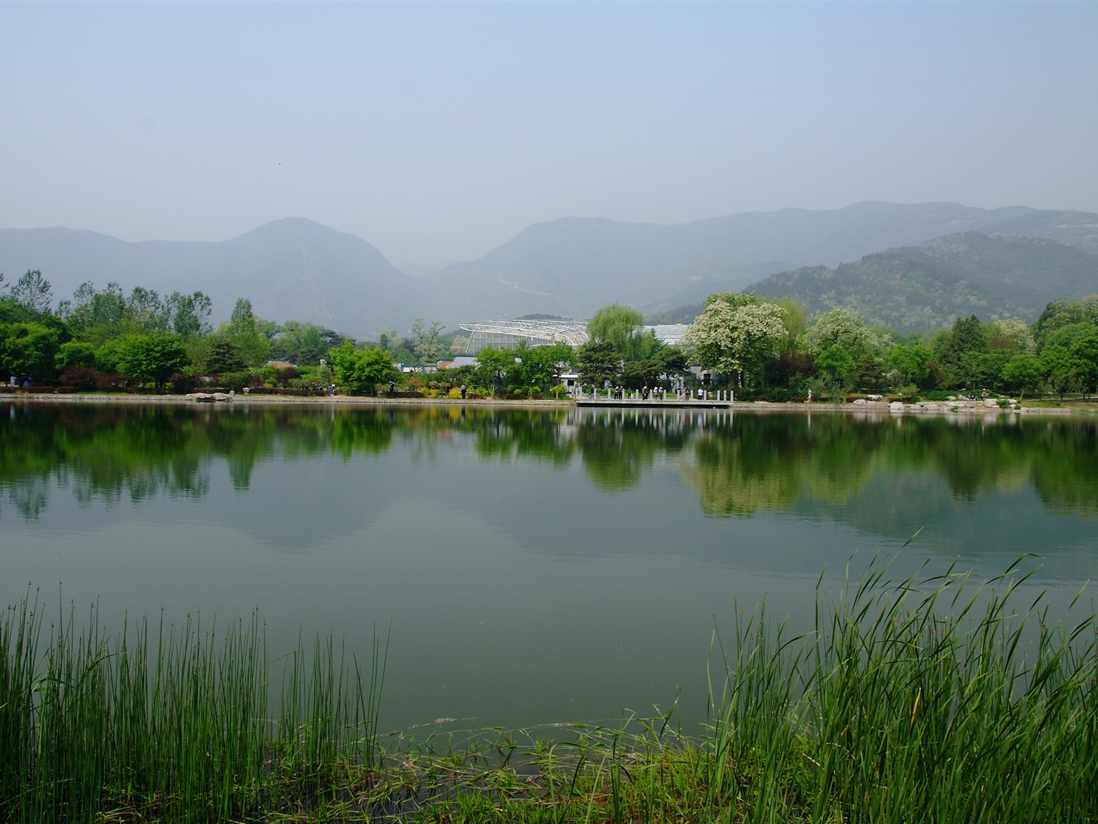 初夏的香山植物園 (螺紋鋼作品) #23 - 1600x1200