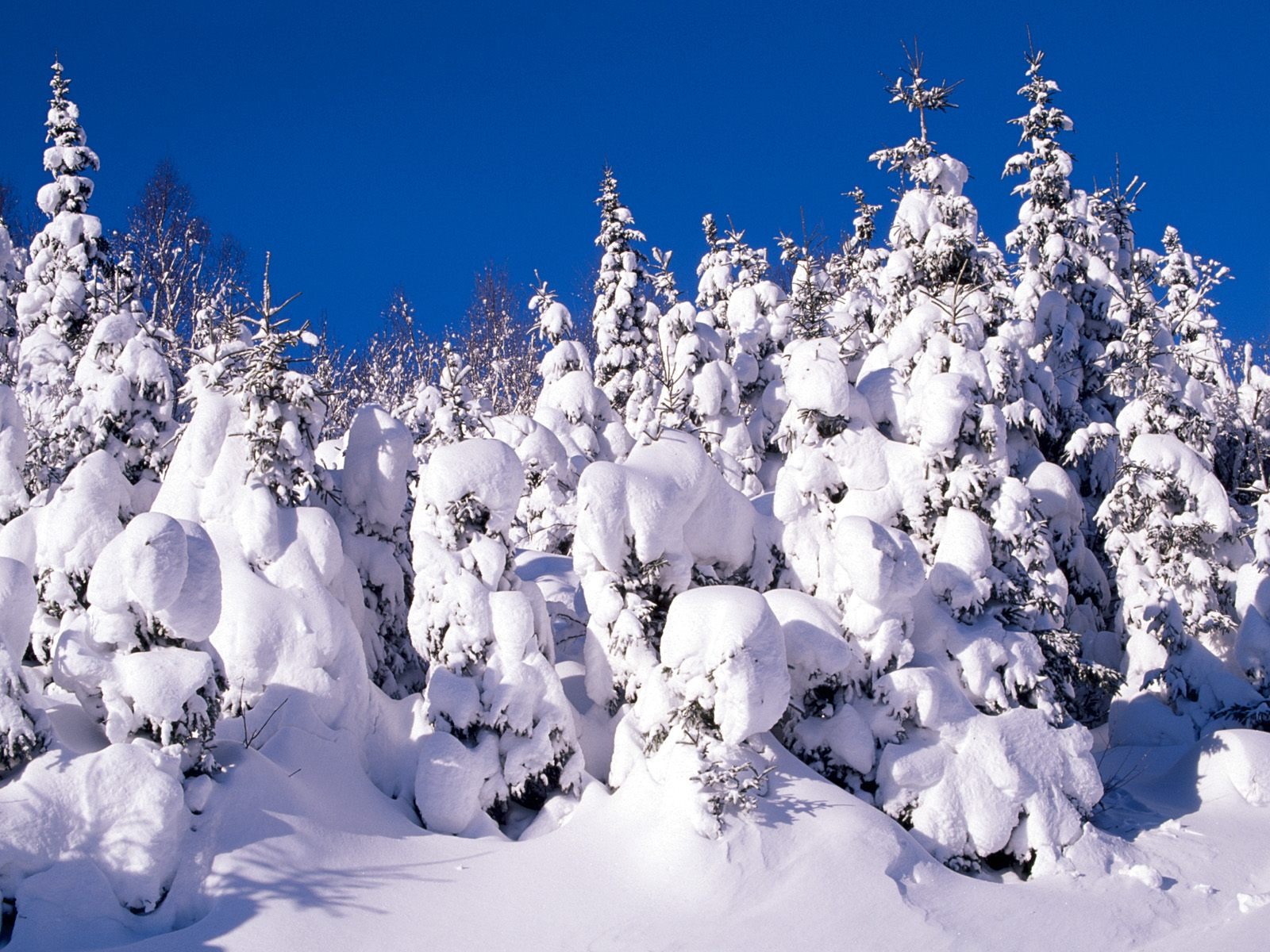 Invierno Nieve fondo de pantalla (3) #2 - 1600x1200