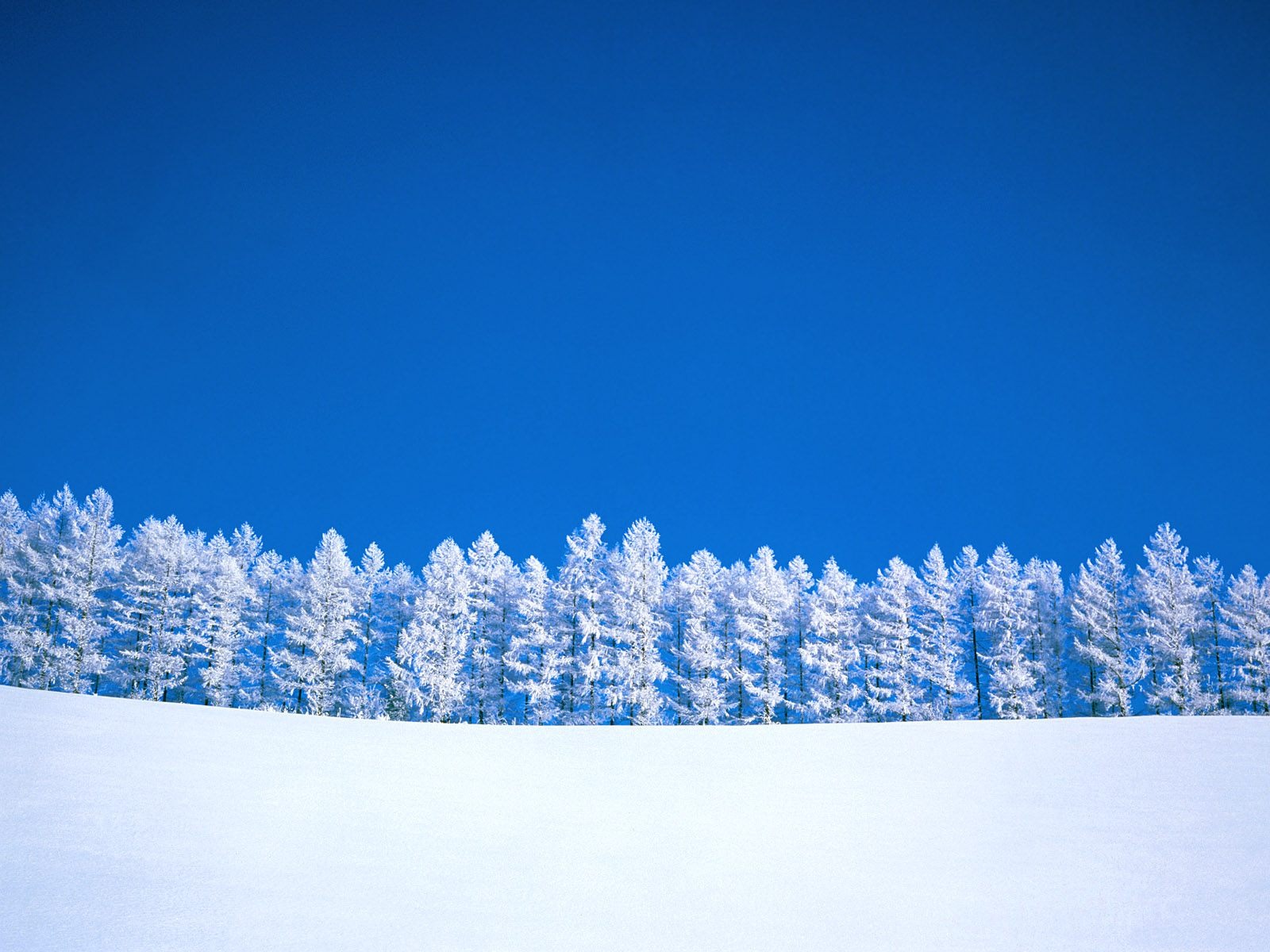 冬天雪景壁紙(三) #8 - 1600x1200