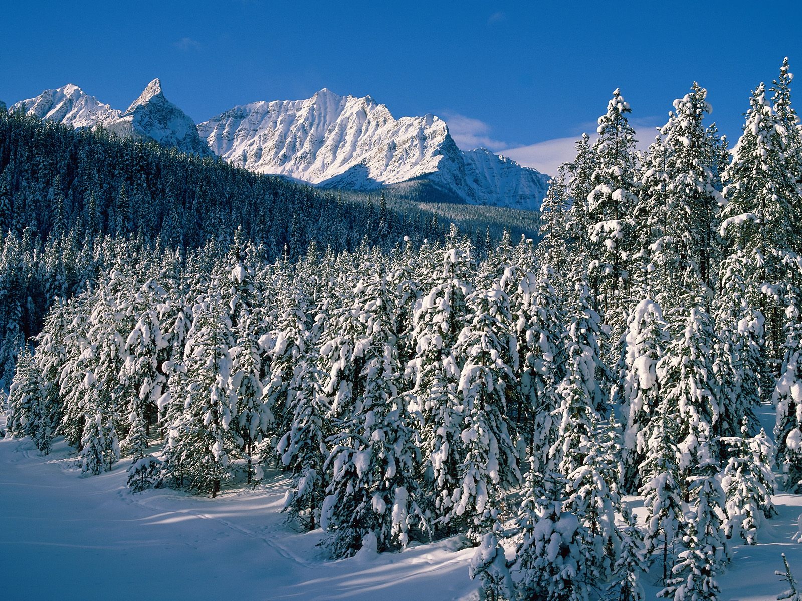 雪山雪景合集 壁紙(二) #5 - 1600x1200