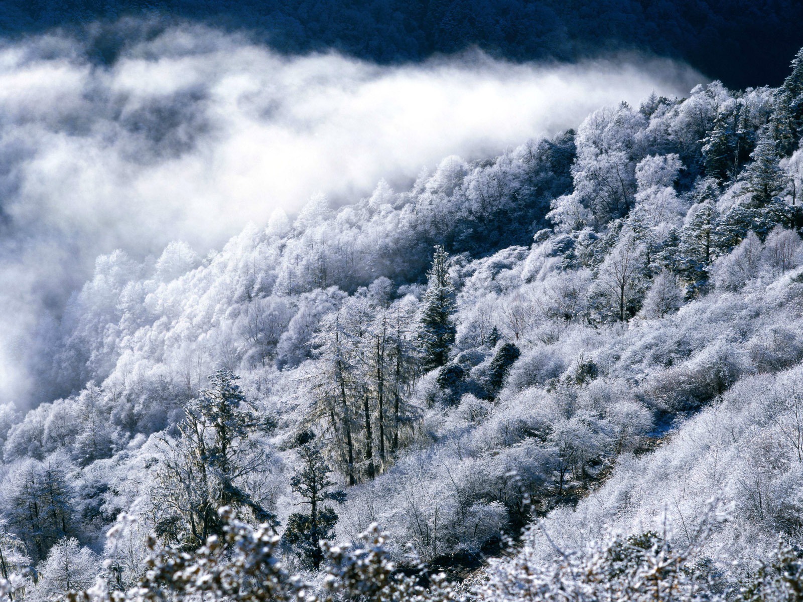 雪山雪景合集 壁紙(二) #7 - 1600x1200