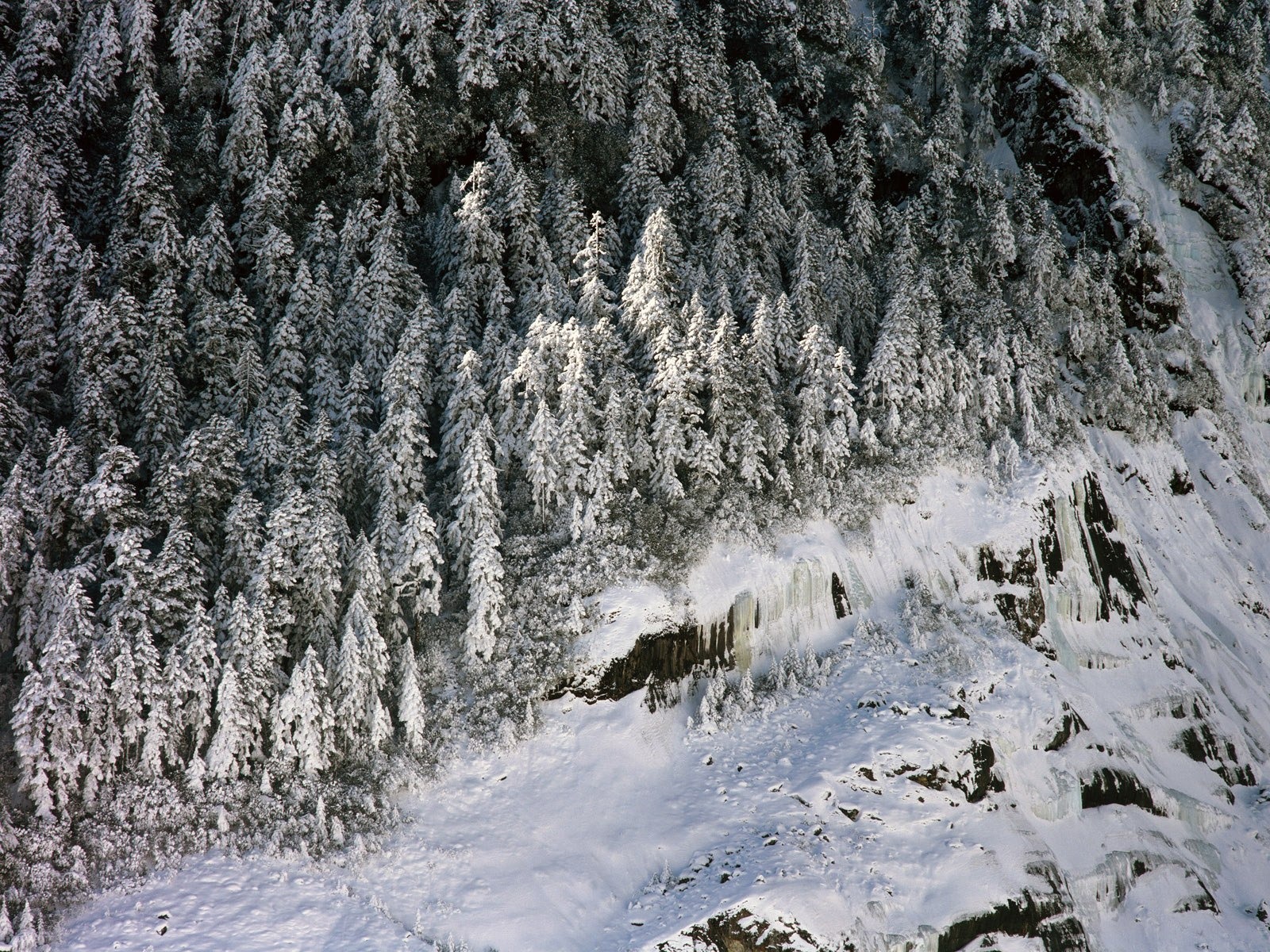 La nieve recogida de papel tapiz (2) #8 - 1600x1200