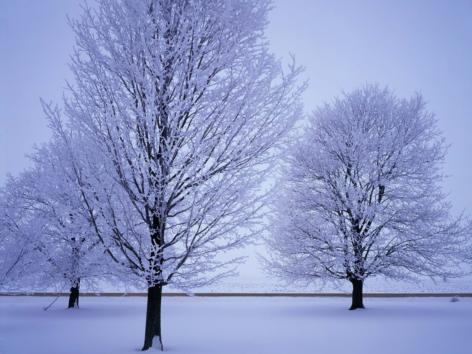 Snow wallpaper collection (4) #18 - 1600x1200
