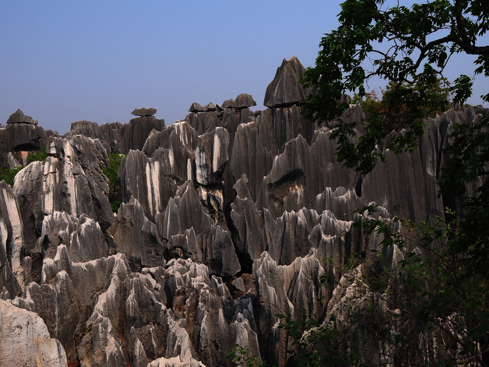 Stone Forest in Yunnan line (1) (Khitan wolf works) #20 - 1600x1200