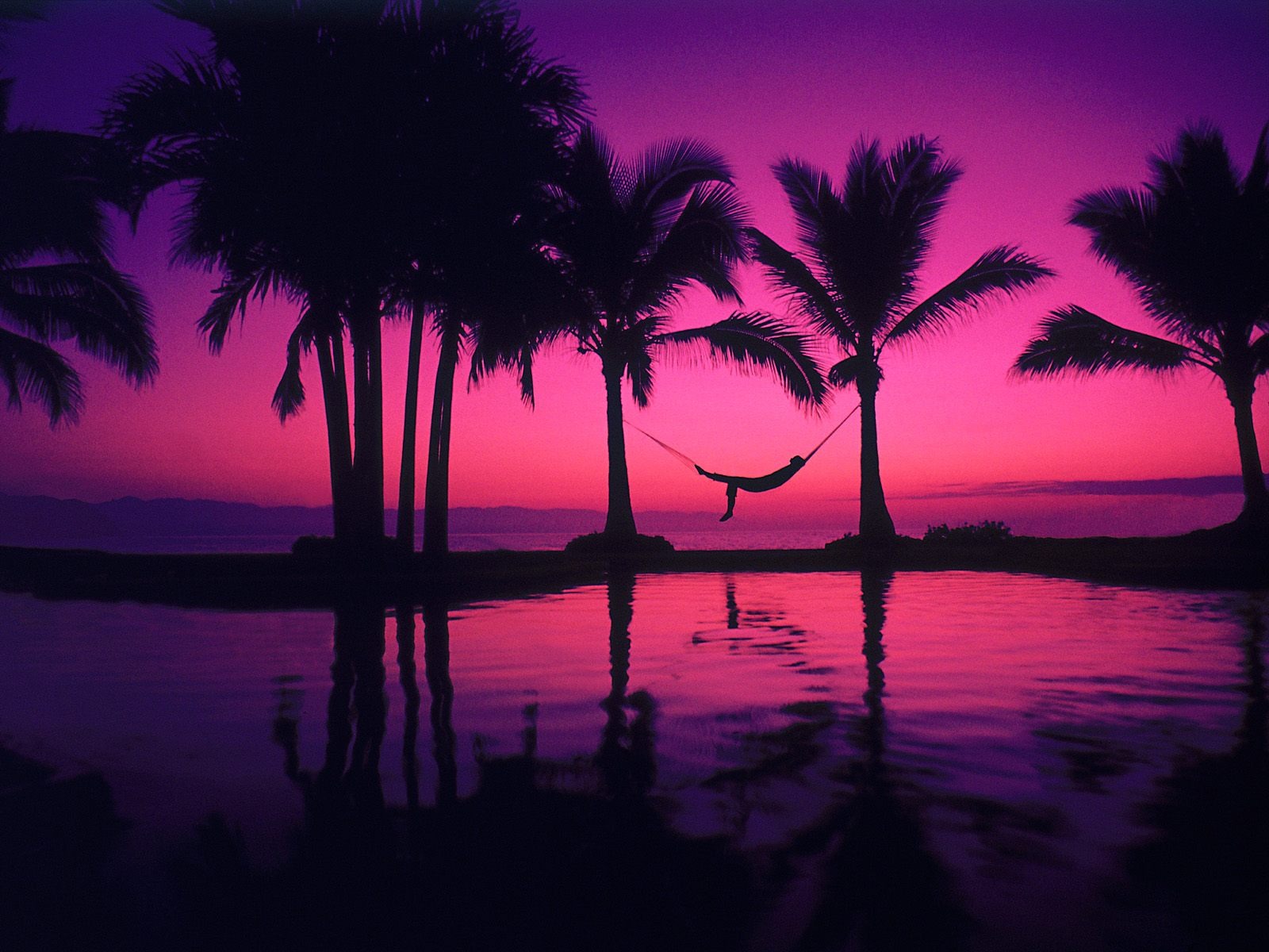 Fond d'écran Palm arbre coucher de soleil (2) #10 - 1600x1200