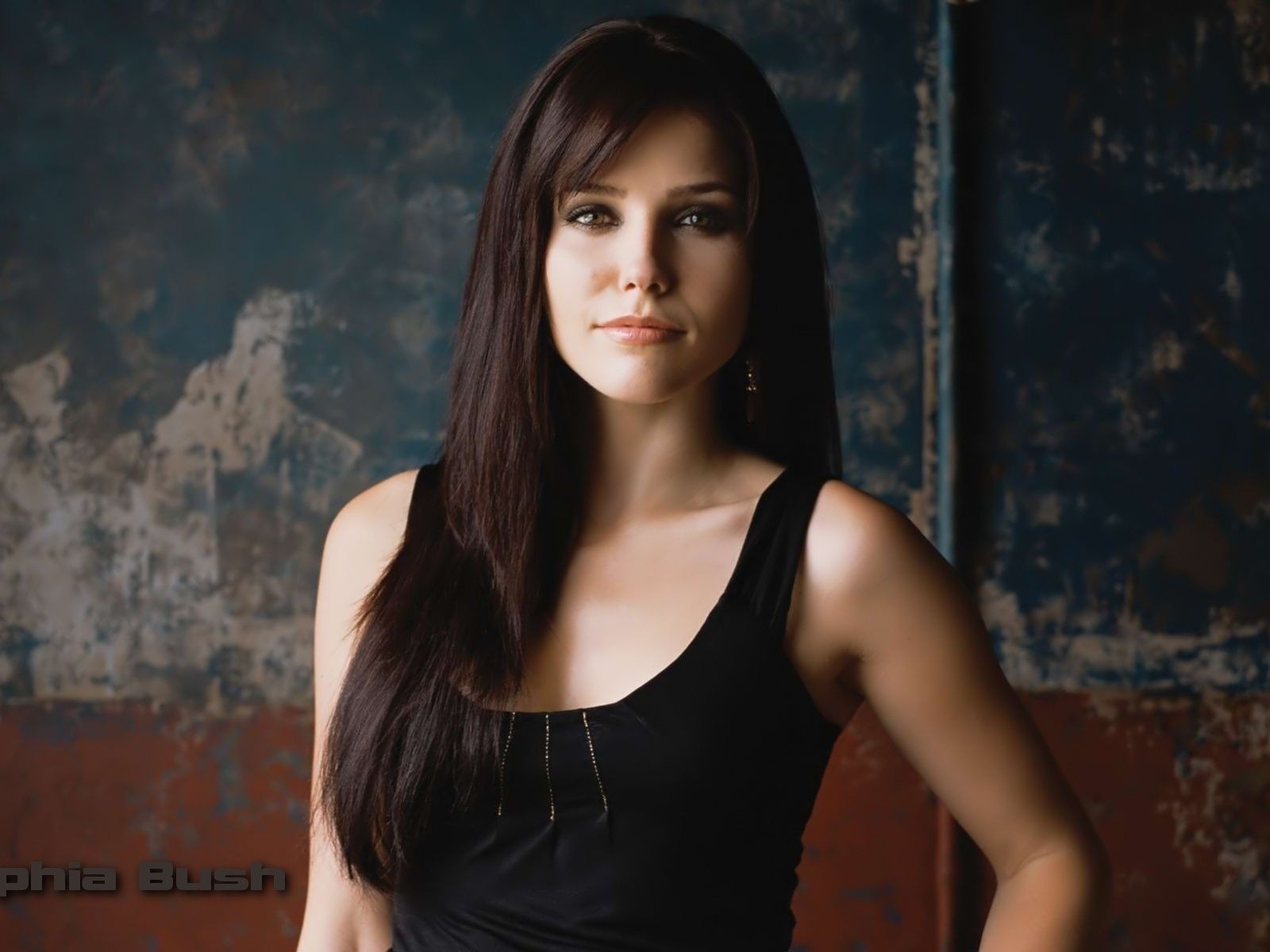 Sophia Bush krásnou tapetu #4 - 1600x1200