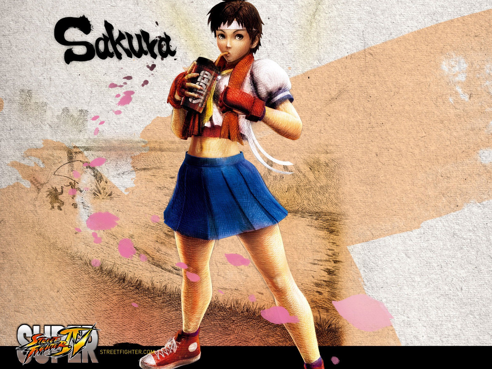 Super Street Fighter 4 HD Wallpapers #11 - 1600x1200