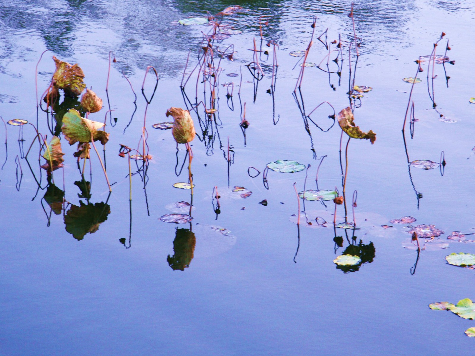 Landscape photography (4) (Li Shanquan works) #13 - 1600x1200