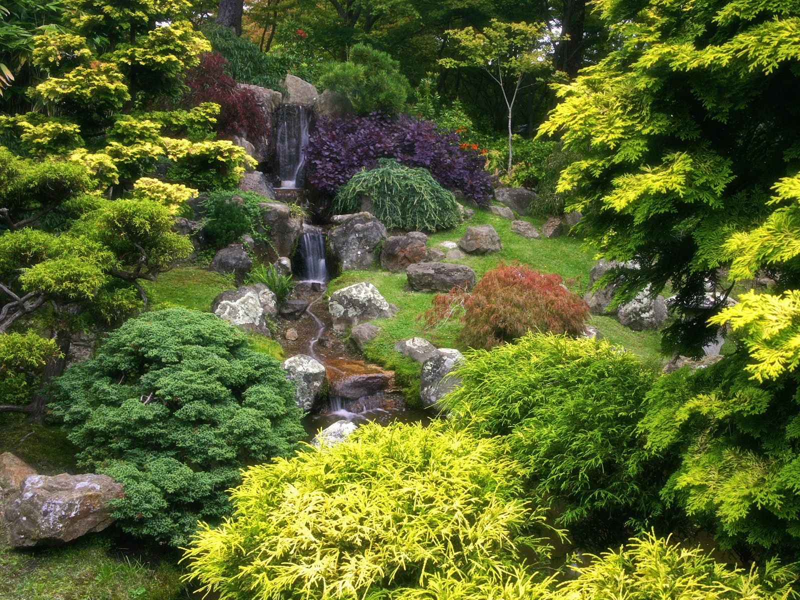 樹木植物 壁紙(八) #3 - 1600x1200